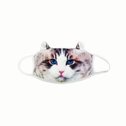 Med Vet International&nbsp;Fun Feline Face Mask, J1541, Each