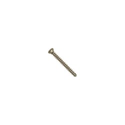 Med Vet International&nbsp;Cortical Self-Tapping Screws, Titanium, 2.4mm x 22mm, J1073GT, Each