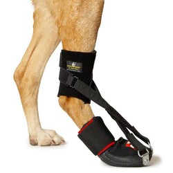 Med Vet International&nbsp;Dorsi-Flex Assist, Tiny, J1005BA, Each