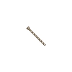 Med Vet International&nbsp;2.4mm x 26mm Titanium Cortical Self-Tapping Screws, J1073IT, 6-Pack