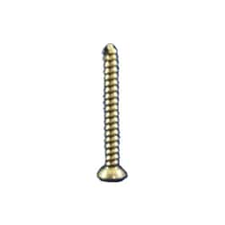 Med Vet International&nbsp;Titanium Cortical Self-Tapping Screw, 2.7mm x 22mm x 2.0mm, J1072IT