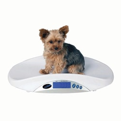 Med Vet International&nbsp;Portable Digital Scale, J0825M