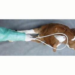Med Vet International&nbsp;HEAD Hunter Calving Snare, J1368, Each