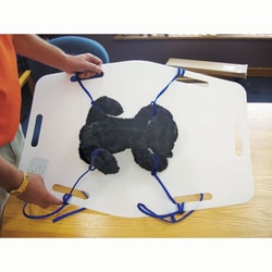 Med Vet International&nbsp;Small Patient Transfer Board, J1298, Each