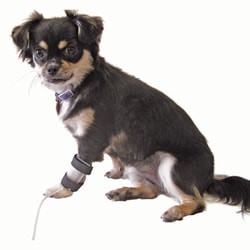 Med Vet International&nbsp;Jorvet Small IV Catheter Guard, J0644
