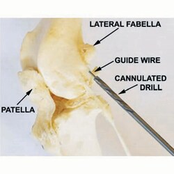 Med Vet International&nbsp;Cannulated Drill 2.5mm x 130mm, w/1.1mm Cannulation, J0372CNA