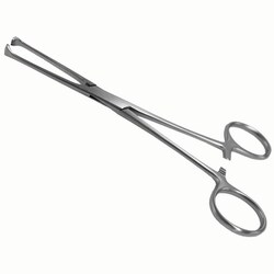 Med Vet International&nbsp;Allis Tissue Forceps, German , 6