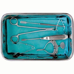 Med Vet International&nbsp;Rabbit/Rodent Dental Starter Kit, J0051RK