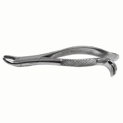 Med Vet International&nbsp;Dental Forcep, 7in, J0042G, Each