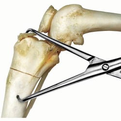 Med Vet International&nbsp;Small Fragment Forceps, Large, 8in, J0212L, Each