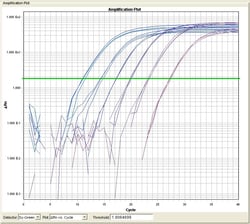 OriGene&nbsp;Universal SYBR Green qPCR Master Mix, 4 x 1,25 ml (500 reactions/20 ul)