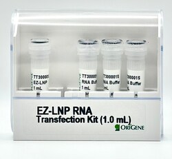 OriGene&nbsp;EZ-LNP RNA Transfection Kit - 1.0 mL