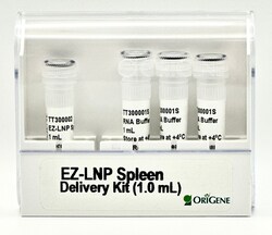 OriGene&nbsp;EZ-LNP Spleen Delivery Kit - 1.0 mL