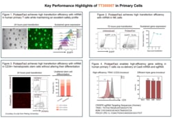 OriGene&nbsp;ProteanFect TuffCell Transfection Kit - 0.02 mL