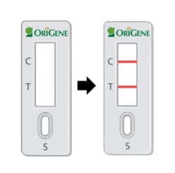 OriGene&nbsp;Lenti RapidTiter Sticks, 20 tests