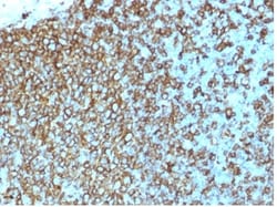 Biotium&nbsp;HLA-Pan (MHC II)(rHLA-Pan/3475), 0.2mg/mL