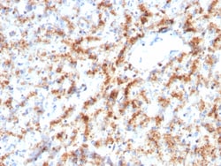 Biotium&nbsp;Cathepsin D (Tumor Marker)(CTSD/3082), Biotin conjugate, 0.1mg/mL