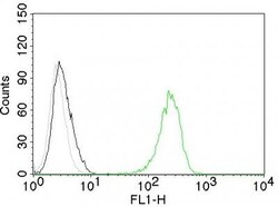 Biotium&nbsp;CD71(TFRC/1059), CF405S conjugate, 0.1mg/mL