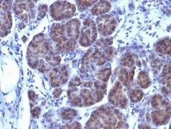 Biotium&nbsp;GLG1 (Golgi Complex)(GLG1/970), CF740 conjugate, 0.1mg/mL