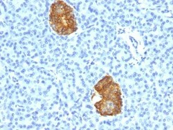 Biotium&nbsp;Insulin(E2-E3 + 2D11-H5), 1mg/mL
