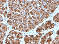 Biotium&nbsp;MUC1 / CA15-3 / EMA / CD227 (Epithelial Marker)(MUC1/2818R), CF740 conjugate, 0.1mg/mL