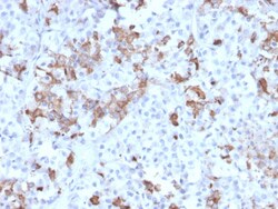 Biotium&nbsp;Prolactin (Pituitary Tumor Marker)(PRL/2642), CF405S conjugate, 0.1mg/mL