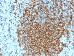 Biotium&nbsp;CD45RA (Leukocyte Marker)(K4B5), 1mg/mL