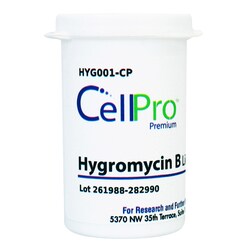 Alkali Scientific&nbsp;Hygromycin B Liquid, 1 Vial