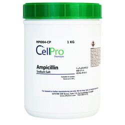Alkali Scientific&nbsp;Ampicillin, Sodium Salt, 25 G