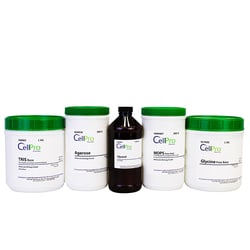 Alkali Scientific&nbsp;Ammonium Persulfate [APS], 100 G