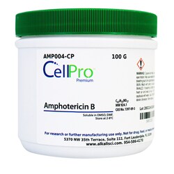 Alkali Scientific&nbsp;Amphotericin B, 5 G
