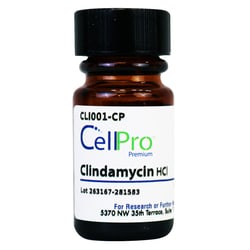 Alkali Scientific&nbsp;Clindamycin HCl, 5 G