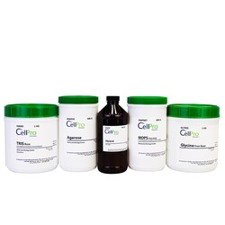 Alkali Scientific&nbsp;TEMED [N,N,N',N' Tetramethylethylenediamine], 25 Milliliters