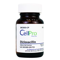 Alkali Scientific&nbsp;Dicloxacillin Sodium Salt, 100 Mg