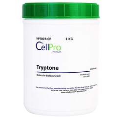 Alkali Scientific&nbsp;Tryptone, Powder, 1 Kg