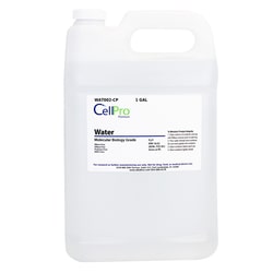 Alkali Scientific&nbsp;Water, Molecular Biology Grade, DNase and RNase Free, 1 Gallon