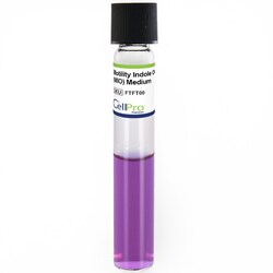 Alkali Scientific&nbsp;Motility Indole Oranthine (MIO) Medium 5 mL Tube, 10/Pk