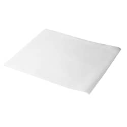 Alkali Scientific&nbsp;Heat Sealable Blotting Bags, Pre Cut to Mini Gel , Non Protein Binding, 10.2cm x 10.2cm
