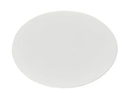Alkali Scientific&nbsp;CellPro&trade; Cellulose Acetate (CA) Membrane Filter, 100/Pk, 47 mm, 0.45 μm
