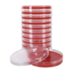 Alkali Scientific&nbsp;Blood Agar 5% Plate, 15x100mm, 20mL, 10/Pk