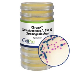 Alkali Scientific&nbsp;ChromX&trade; Streptococcus A, C & G Chromogenic Agar, 20 mL, 10/Pk