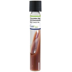 Alkali Scientific&nbsp;Chocolate Agar with Enrichment Slant 9mL,16x125 mm Tube, 10/Pk