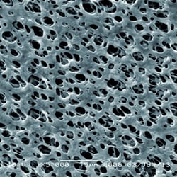 Alkali Scientific&nbsp;FLT, DSK, N66 5.0um Pore  , 47mm Diameter, 100/pk