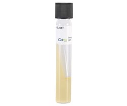 Alkali Scientific&nbsp;Tryptic Soy Agar (TSA) Slant, 10mL, 16x125mm Tube, Screw Cap, 10/Pk