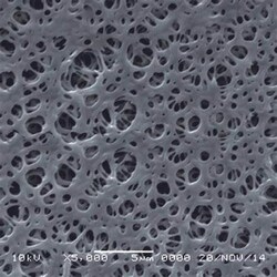 Alkali Scientific&nbsp;Polyethersulfone (PES) Membrane disk diam.47 mm, PES 0.45, 100/Pk