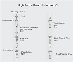 Alkali Scientific&nbsp;Spin Mini Prep High purity Kit