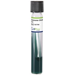 Alkali Scientific&nbsp;Simmons Citrate Slant 4mL 13x100mm, 10/Pk