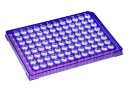 Alkali Scientific&nbsp;ProCycle&trade; 0.2mL 96 Well Rigid&trade; PCR Plate, Semi Skirted, Polycarbonate Frame, 10/Pack, Purple Frame, Clear Well
