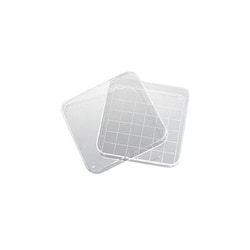 Alkali Scientific&nbsp;Petri Dish, Square 100 x 100 x 15 mm, Sterile, 20/Pk, 500/Cs