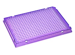 Alkali Scientific&nbsp;ProCycle&trade; 30µL 384 Well Rigid&trade; PCR Plate, Full Skirt, A24 Notch, Polycarbonate Frame, 10/Pack, Purple Frame, Clear Well